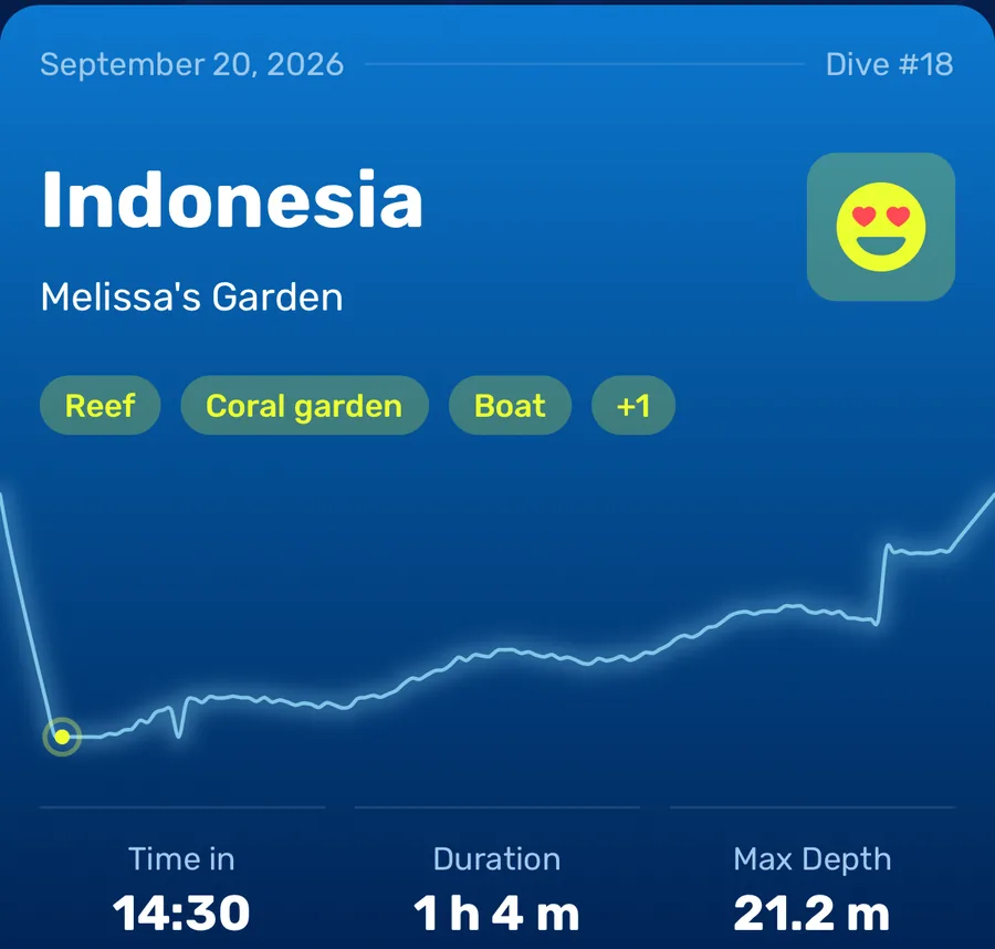 Depth profile of a 64 minute dive to 21.2 metres in Indonesia